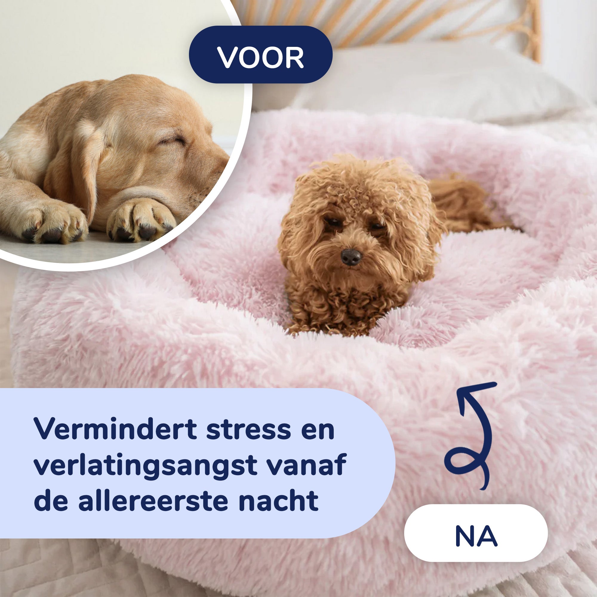 Kalmerend Hondenbed met Rits
